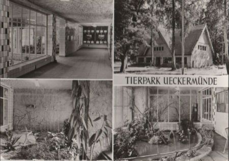 Ueckermünde - Tierpark, Vivarium - 1982 Ueckermünde - Tierpark, Vivarium - 1982