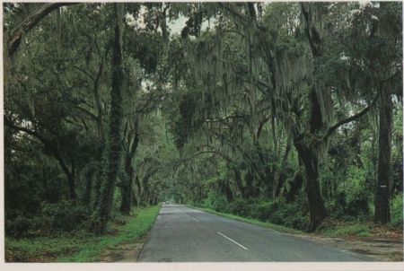 Charleston - USA - Road to Summerville Charleston - USA - Road to Summerville