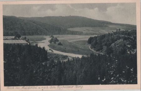 Wechselburg - Blick ins Muldental - ca. 1955 Wechselburg - Blick ins Muldental - ca. 1955