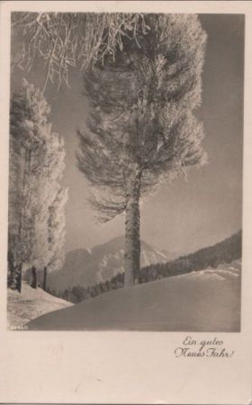 Neues Jahr - Baum im Winter Neues Jahr - Baum im Winter