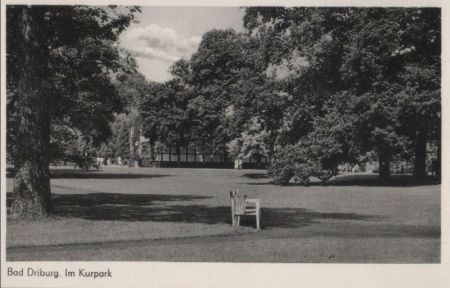 Bad Driburg - Im Kurpark - ca. 1960 Bad Driburg - Im Kurpark - ca. 1960