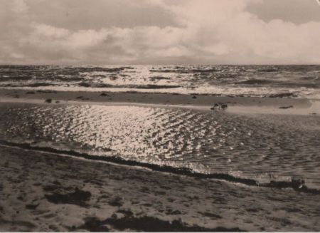 Treibgut am Meeresstrand - 1971 Treibgut am Meeresstrand - 1971