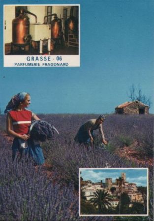 Frankreich - Grasse - Cite des Fleurs - ca. 1980 Frankreich - Grasse - Cite des Fleurs - ca. 1980