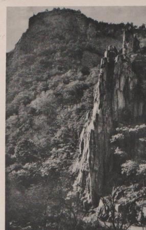 Partie im Bodetal bei thale - ca. 1955 Partie im Bodetal bei thale - ca. 1955