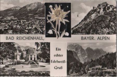 Bad Reichenhall - Edelweiß-Gruß - ca. 1960 Bad Reichenhall - Edelweiß-Gruß - ca. 1960