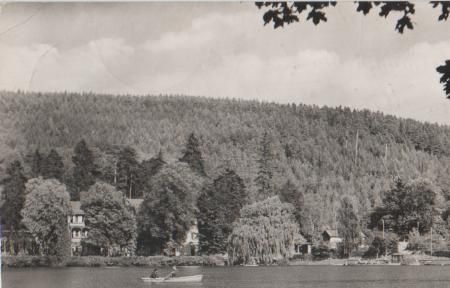 Georgenthal - Am Hammerteich - 1964 Georgenthal - Am Hammerteich - 1964