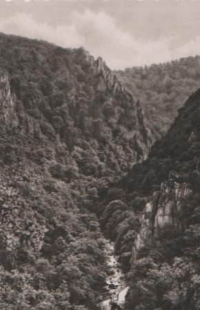 Thale - Blick vom Bodetor - ca. 1965 Thale - Blick vom Bodetor - ca. 1965