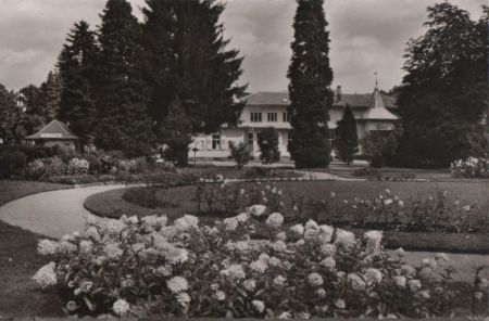 Bad Herrenalb - Kurpark - ca. 1960 Bad Herrenalb - Kurpark - ca. 1960