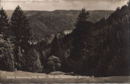 Schwarzburg - von der Flaschenwiese - 1969 Schwarzburg - von der Flaschenwiese - 1969