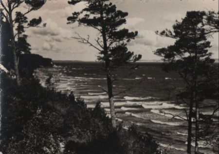 Steilufer am Meer mit Bäumen - ca. 1955 Steilufer am Meer mit Bäumen - ca. 1955
