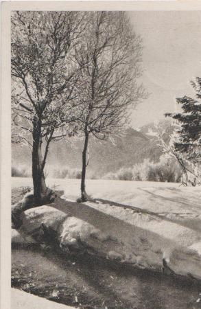 Glückliches Neues Jahr - 1952 Glückliches Neues Jahr - 1952