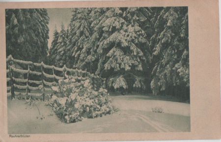 Rauhreifblüten - 1925 Rauhreifblüten - 1925