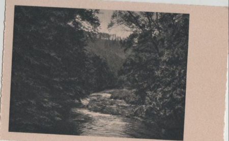 Schlängelnder Bachlauf im Wald - ca. 1955 Schlängelnder Bachlauf im Wald - ca. 1955