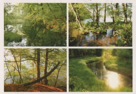 Wald und Waser - ca. 2000 Wald und Waser - ca. 2000