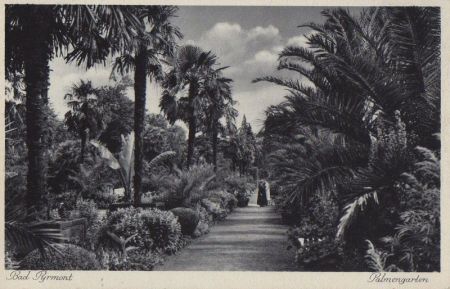 Bad Pyrmont - Palmengarten - ca. 1955 Bad Pyrmont - Palmengarten - ca. 1955