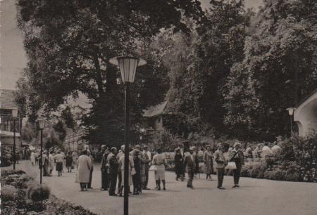 Bad Salzschlirf - Kurpark - ca. 1965 Bad Salzschlirf - Kurpark - ca. 1965