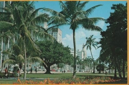 USA - Miami - Bayfront Park - 1981 USA - Miami - Bayfront Park - 1981