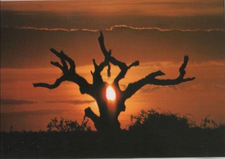 Spanien - Parque Nacional Donana - Puesta de Sol - ca. 1980 Spanien - Parque Nacional Donana - Puesta de Sol - ca. 1980