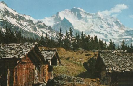 Schweiz - Jungfrau - ca. 1965 Schweiz - Jungfrau - ca. 1965