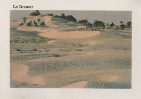 Tunesien - Sahara - ca. 1985 Tunesien - Sahara - ca. 1985
