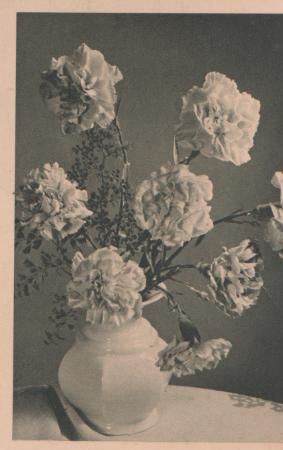 Herzlichen Glückwunsch zum Geburtstag - ca. 1955 Herzlichen Glückwunsch zum Geburtstag - ca. 1955