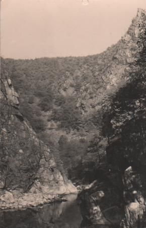 Thale - Blick zur Schurre - 1964 Thale - Blick zur Schurre - 1964