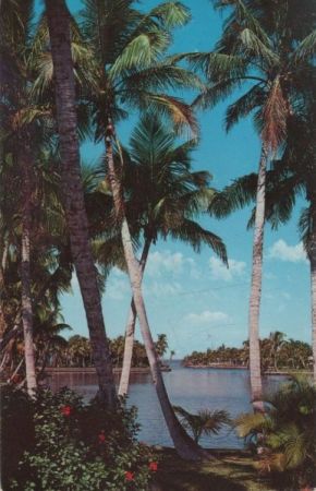 USA - Fort Myers - Whiskey Creek - 1990 USA - Fort Myers - Whiskey Creek - 1990
