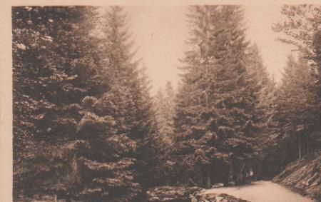 Braunlage Harz - An der Bode - ca. 1935 Braunlage Harz - An der Bode - ca. 1935