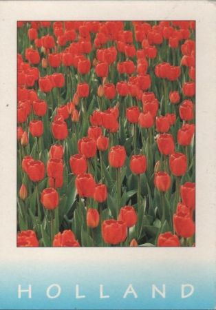 Niederlande - Holland - 2000 Niederlande - Holland - 2000