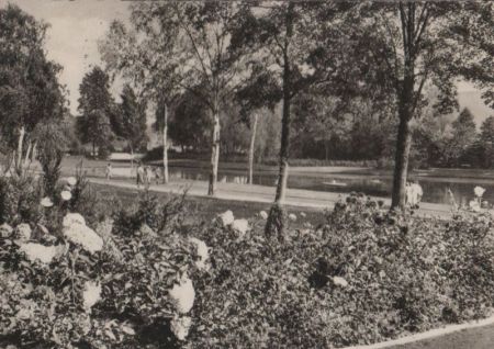 Bad Salzuflen - Partie am Kurparksee - 1957 Bad Salzuflen - Partie am Kurparksee - 1957