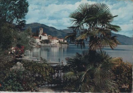Brissago - Schweiz - Palmen Brissago - Schweiz - Palmen