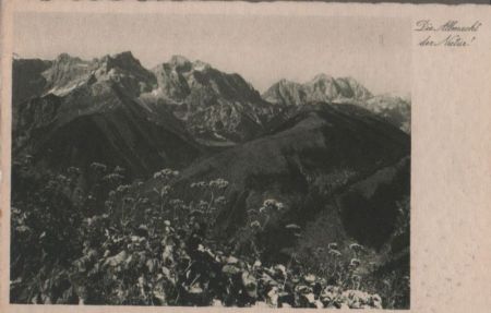Die Allmacht der Natur - ca. 1950 Die Allmacht der Natur - ca. 1950