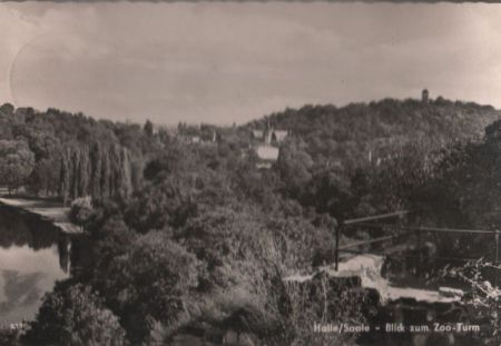 Halle - Blick zum Zoo-Turm - 1962 Halle - Blick zum Zoo-Turm - 1962