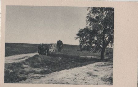 Der Weg in der Landschaft - ca. 1955 Der Weg in der Landschaft - ca. 1955