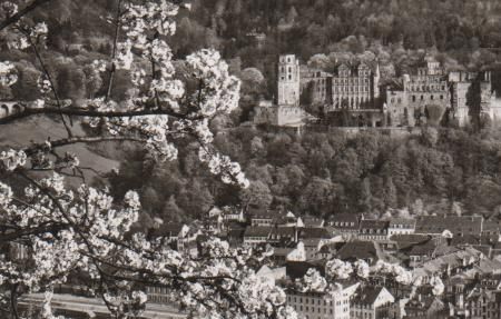 Heidelberg in der Blüte - ca. 1955 Heidelberg in der Blüte - ca. 1955
