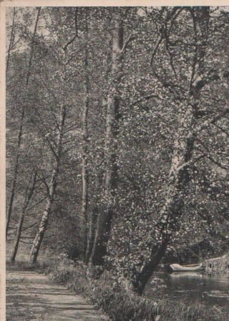 Walldürn - Rippberg Odenwald - Am Hammer-See - ca. 1955 Walldürn - Rippberg Odenwald - Am Hammer-See - ca. 1955