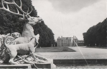 Schwetzingen - Schloßgarten, Hirschgruppe - 1963 Schwetzingen - Schloßgarten, Hirschgruppe - 1963