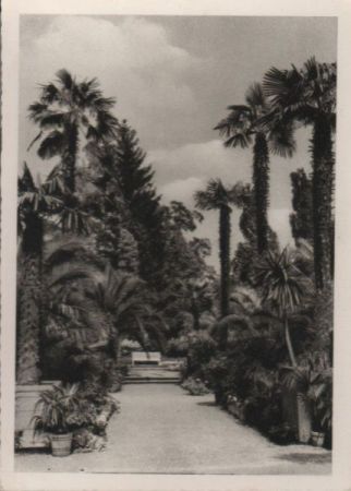 Bad Pyrmont - Kurpark - ca. 1955 Bad Pyrmont - Kurpark - ca. 1955