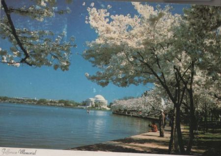 USA - Washington D.C. - Jefferson Memorial - 1983 USA - Washington D.C. - Jefferson Memorial - 1983