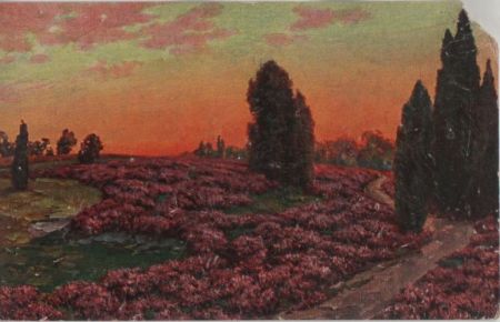Sonnenuntergang in der Heide Sonnenuntergang in der Heide