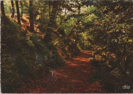 Belgien - Ardennen - ca. 1975 Belgien - Ardennen - ca. 1975