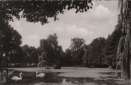 Alsfeld - Am Erlenteich - 1962 Alsfeld - Am Erlenteich - 1962