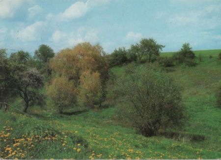 Frohe Pfingsten - 1990 Frohe Pfingsten - 1990