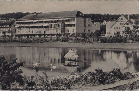 Bad Meinberg - Am Kurparkteich - 1961 Bad Meinberg - Am Kurparkteich - 1961
