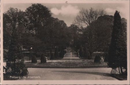 Freiberg - Albertpark - ca. 1950 Freiberg - Albertpark - ca. 1950