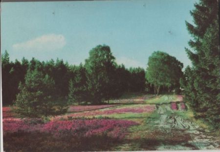 Heide - 1973 Heide - 1973