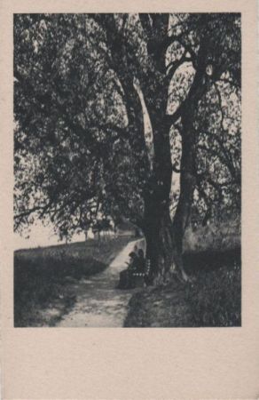 Verschnaufen unterm Baum - ca. 1955 Verschnaufen unterm Baum - ca. 1955