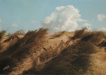 große Dünen - 1978 große Dünen - 1978