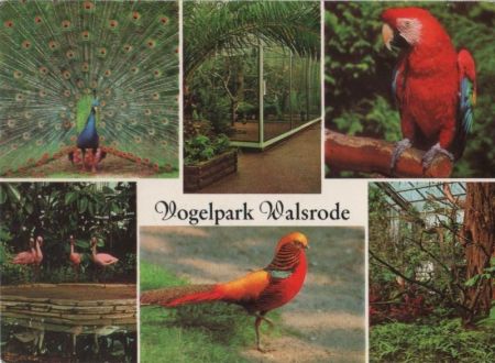 Walsrode - Vogelpark - 1982 Walsrode - Vogelpark - 1982