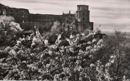 Heidelberg - Schloß in der Blüte - ca. 1960 Heidelberg - Schloß in der Blüte - ca. 1960